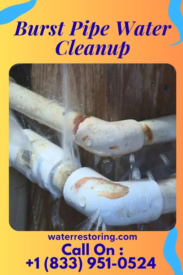 Burst Pipe Water Cleanup in St. Stephens, AL